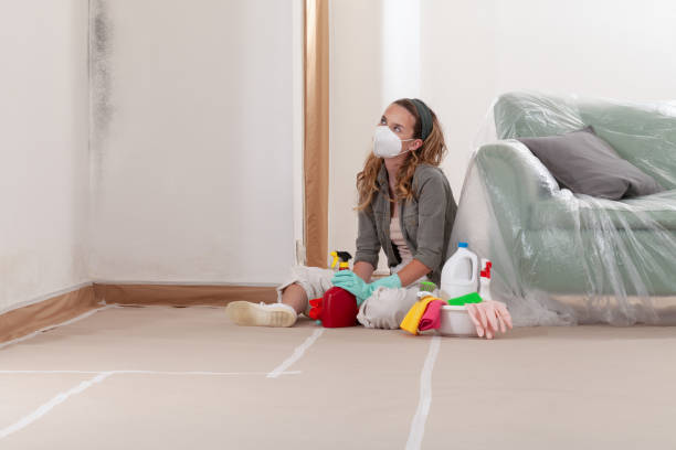 Reliable Basement Mold Remediation contractor in Hempstead, TX by WQB Mold Removal